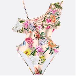 Floral Stripe Asymmetrical Ruffle 1pc Swimsuit